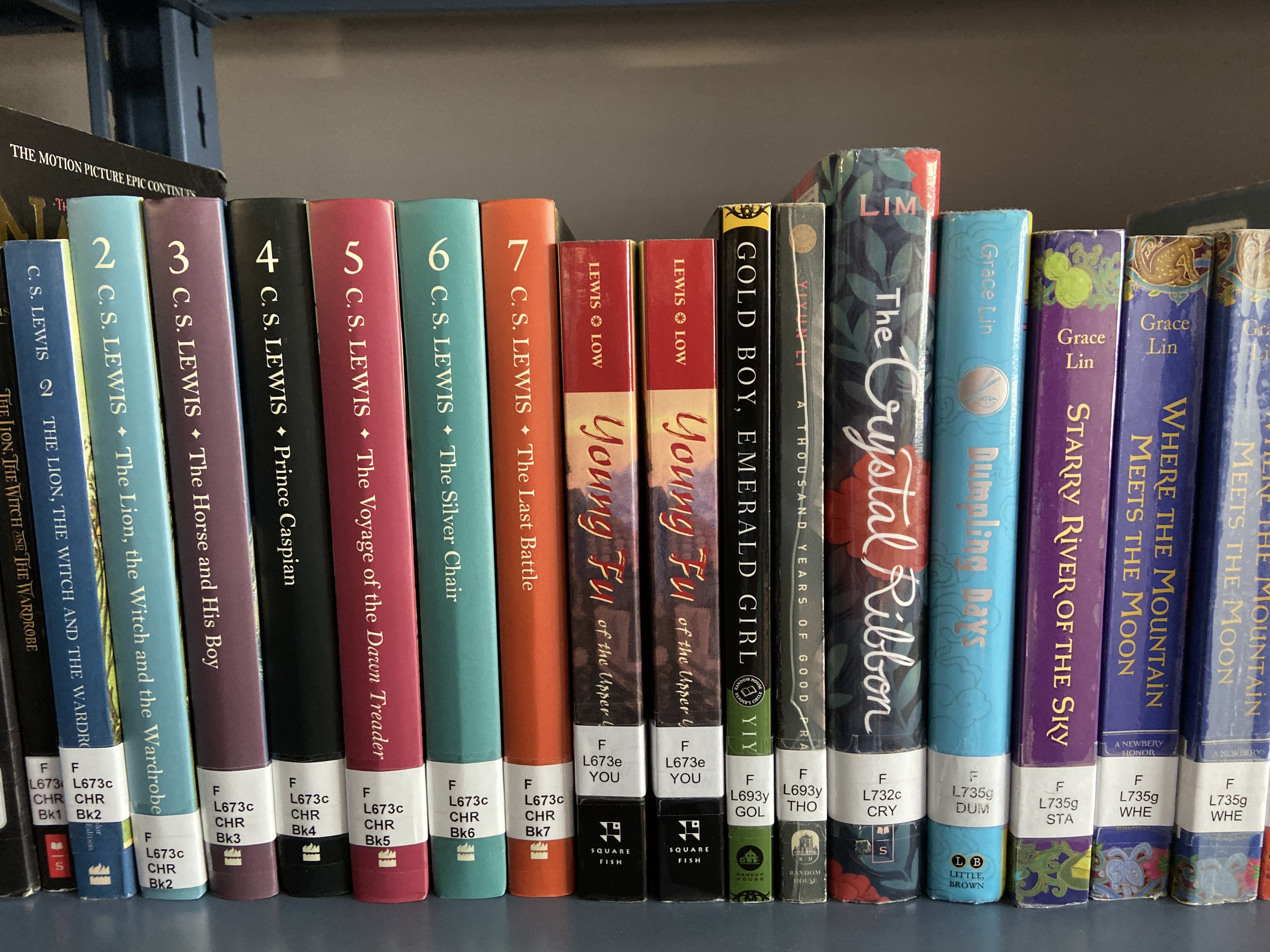 a shelf of library books